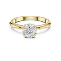 #yellow-gold