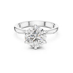 Silver Ring against a white background 