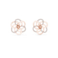 #rose-gold