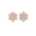 #rose-gold